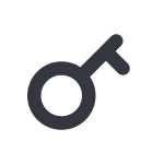 Key SVG Icon